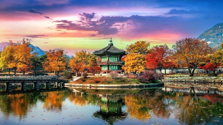 Gyeongbokgung Palace in Seoul framed by autumn foliage