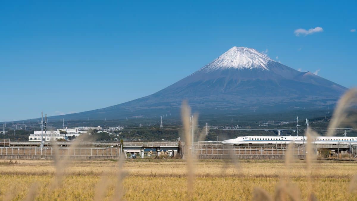 A Tokaido Shinkansen train crossing rice fields with Mount Fuji behind, in Fuji, Shizuoka