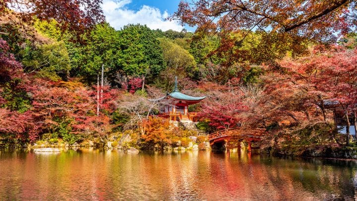 Red maple leaves framing a wooden pagoda at Daigo-ji temple in Kyoto during peak koyo season