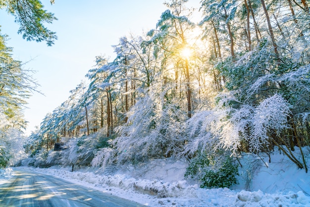 An empty two-lane road covered in packed snow through a rural Japanese landscape in winter