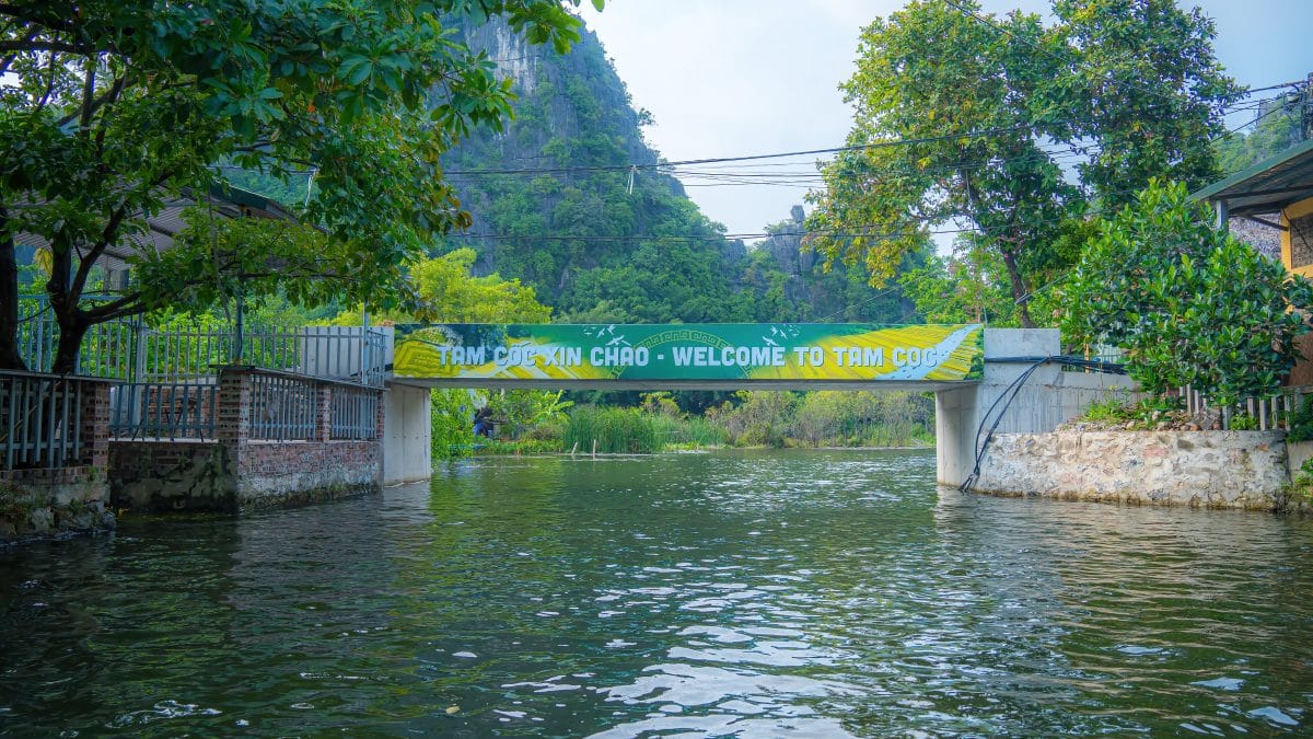 Rowing boats carrying tourists along the Ngo Dong River at Tam Coc, Ninh Binh, between limestone karsts and rice fields
