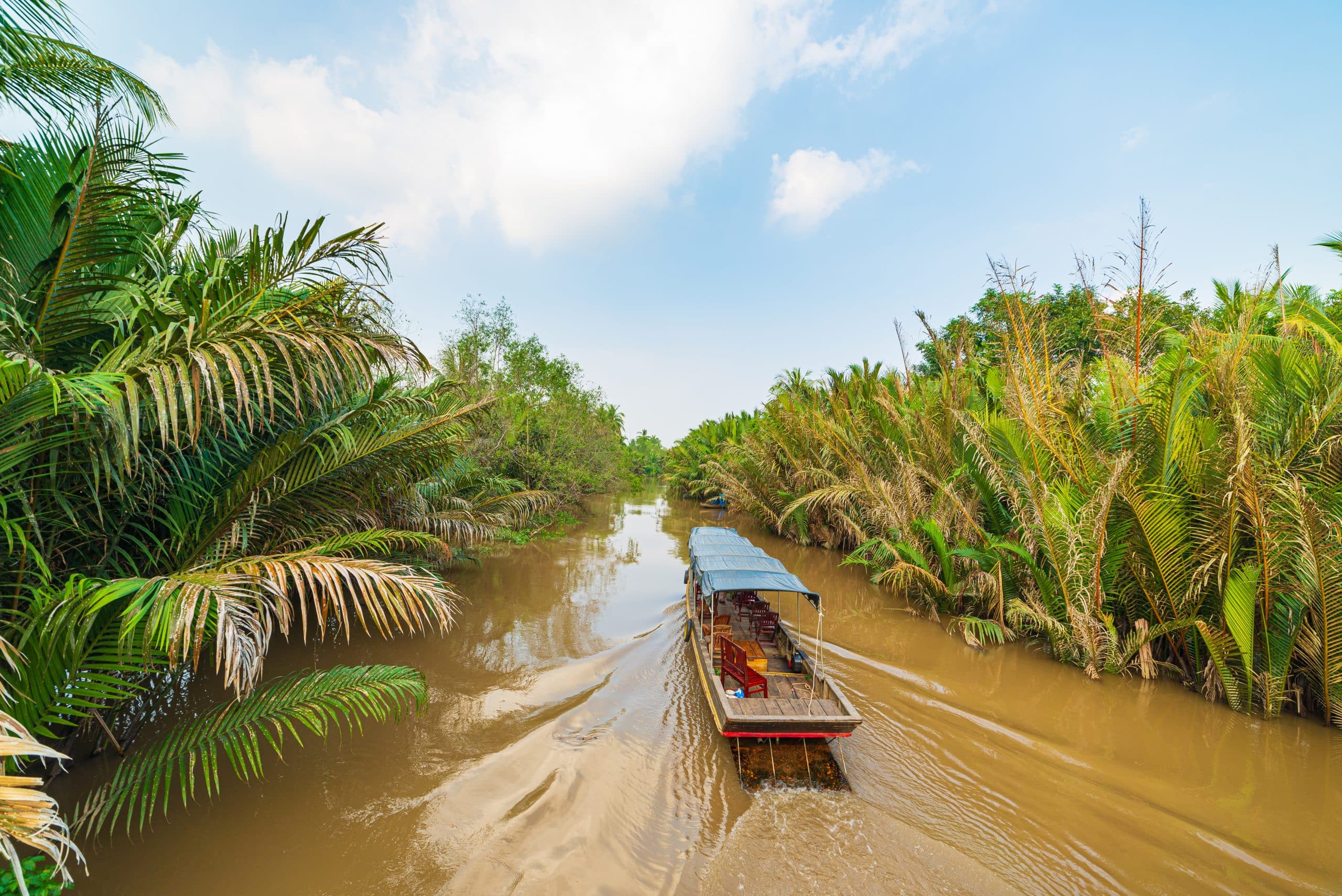 Wooden boat on a narrow canal lined with coconut palms in Ben Tre, Mekong Delta