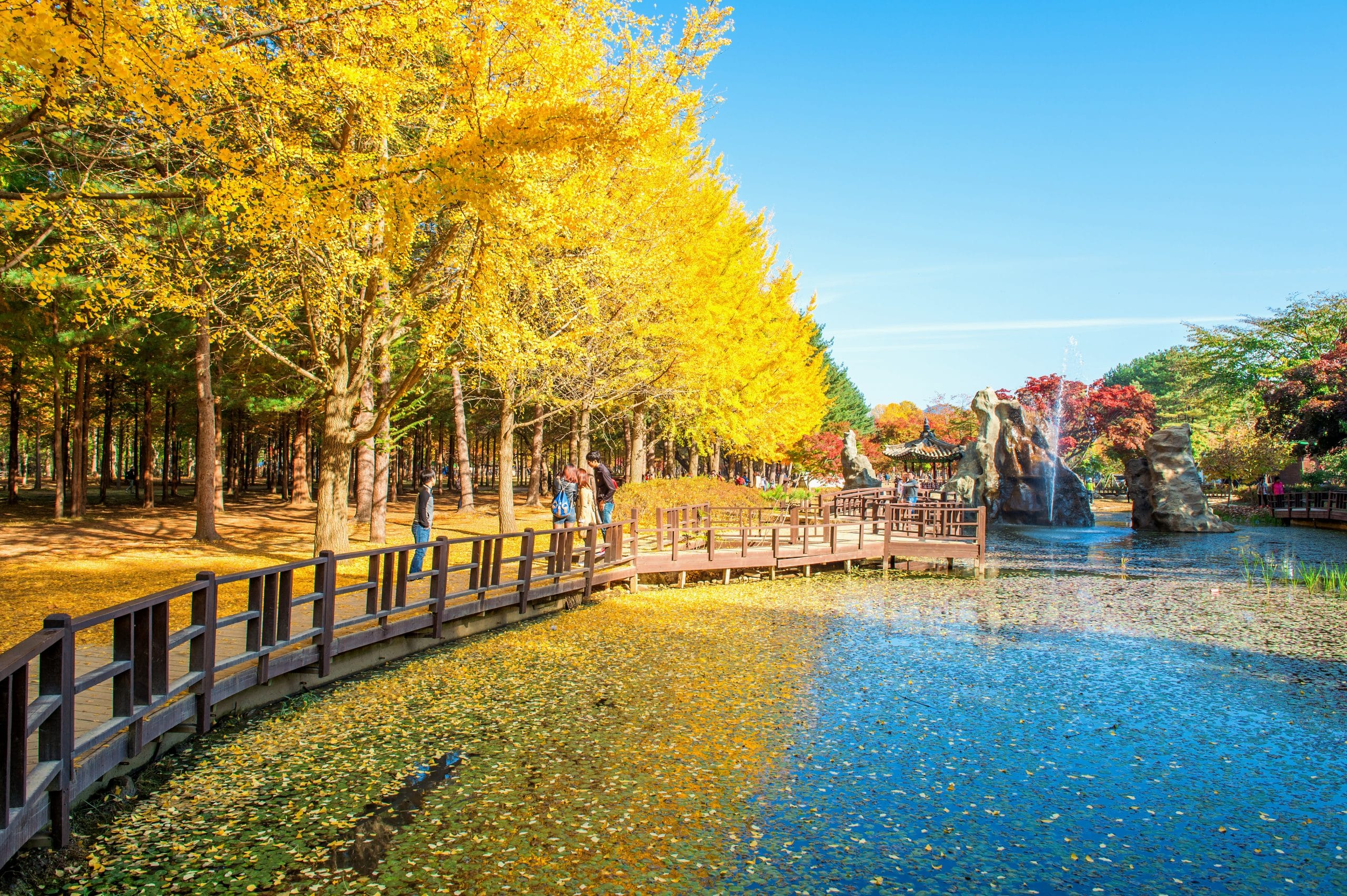 Visitors taking photos beside the water at Nami Island, Korea